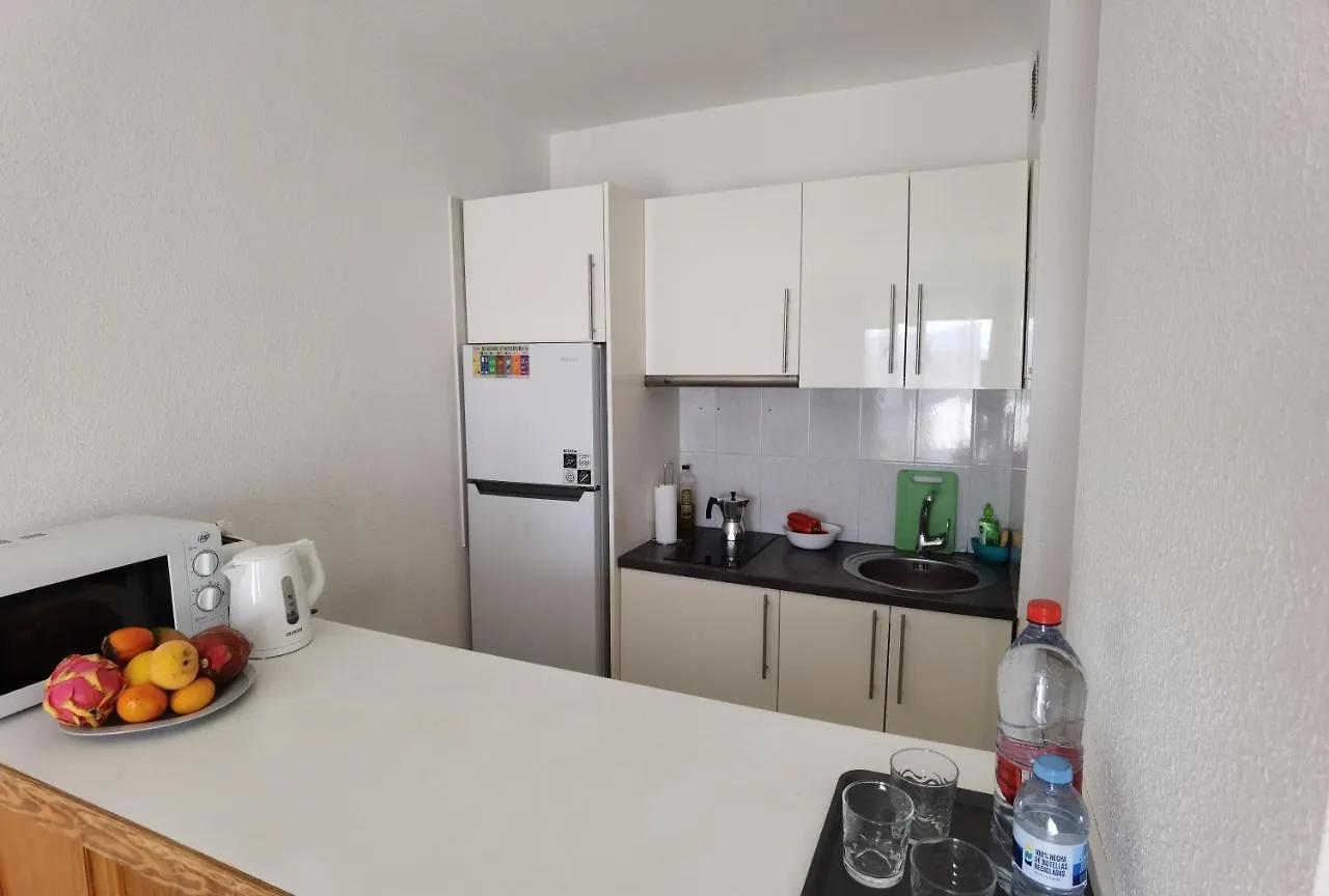 Sun Paradise Apartment 아데제